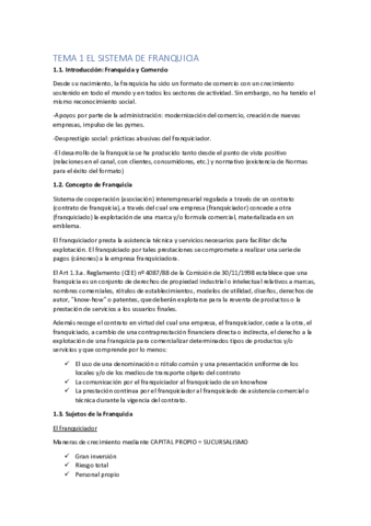 TEMA 1 EL SISTEMA DE FRANQUICIA.pdf