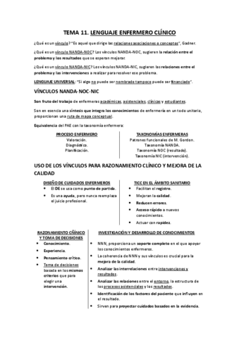TEMA-11.-LENGUAJE-ENFERMERO-CLINICO.pdf