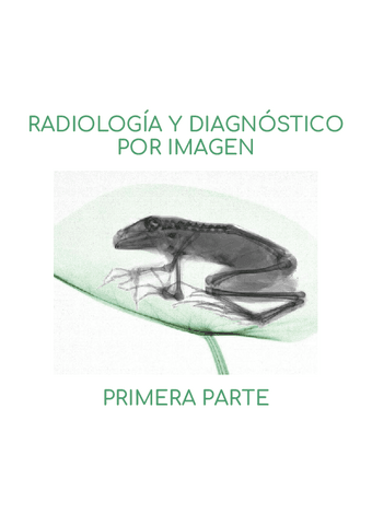 RAYOS-PARTE-UNO.pdf