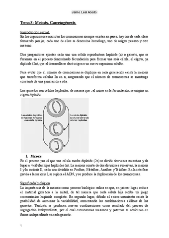 Tema 8: Meiosis. Gametogénesis..pdf