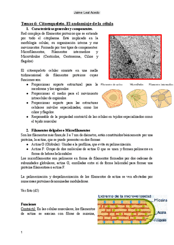 Tema 6: Citoesqueleto.pdf