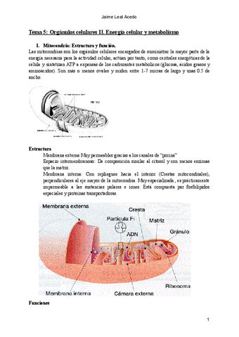 Tema 5: Orgánulos celulares II. Energía celular y metabolismo.pdf