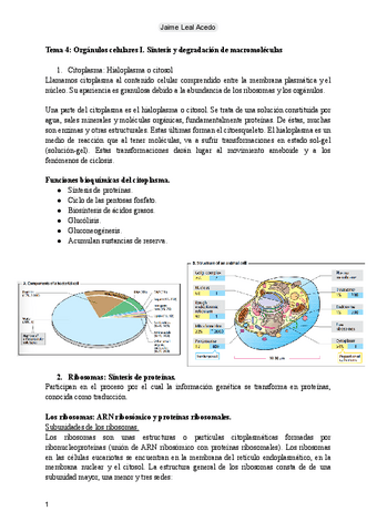 Tema 4: Orgánulos celulares I.pdf