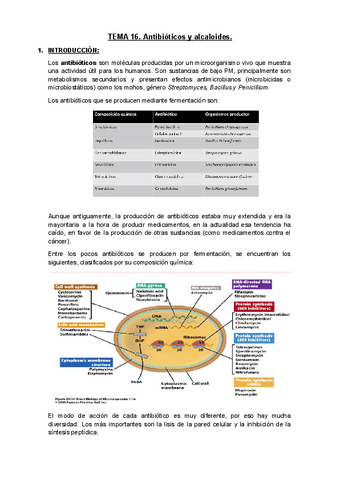 Tema-16.docx-1.pdf