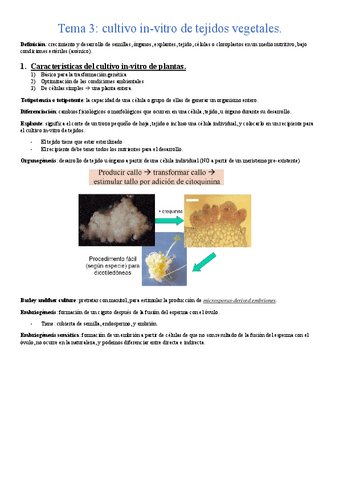 Tema-3-metodos-de-cultivo-in-vitro-de-plantas.pdf