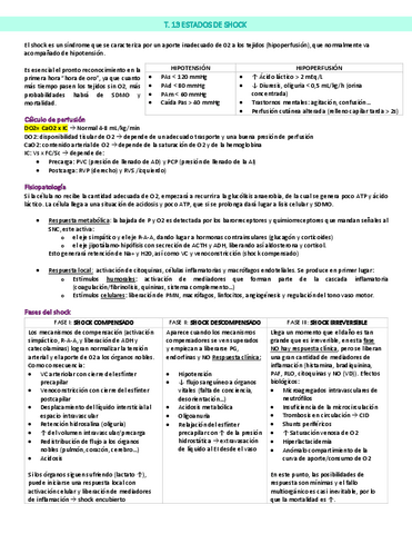 Estados de shock.pdf