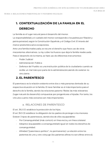TEMA1.pdf