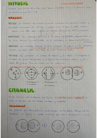 Mitosis-y-meiosis.pdf