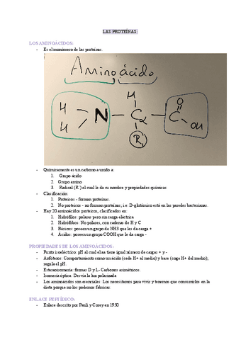 Proteinas.pdf