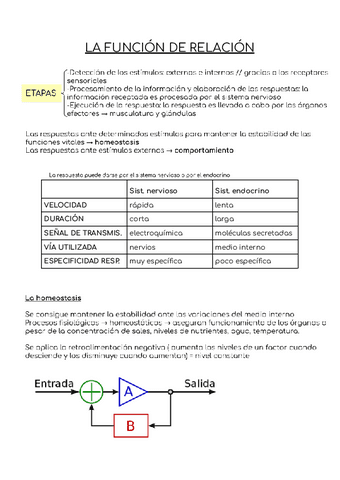 LA-FUNCION-DE-RELACION-APUNTES.pdf