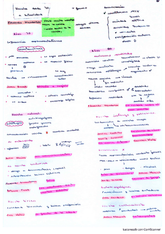 tema-9.pdf