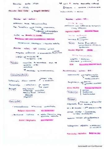 tema-6.pdf