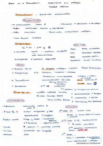 tema-4.pdf