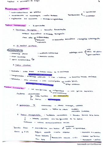 tema-3.pdf