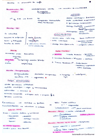 tema-2.pdf