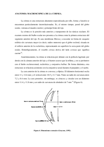 anatomia-normal-y-embriologia-III.pdf