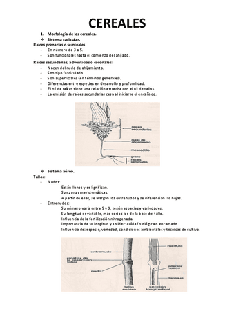 Tema-8-TCH.pdf