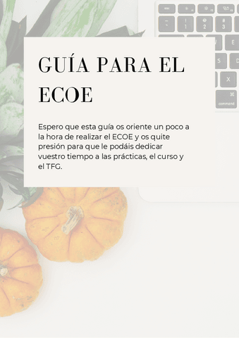 GUIA-ECOE.pdf