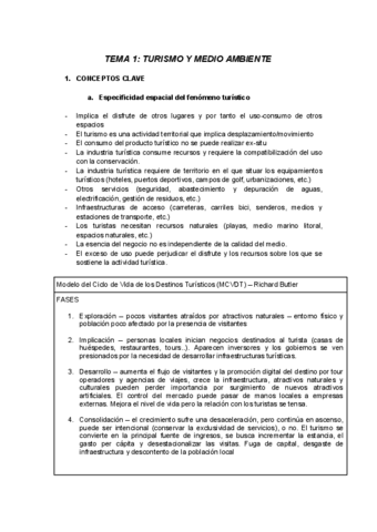 TEMA-1-TSMA.pdf