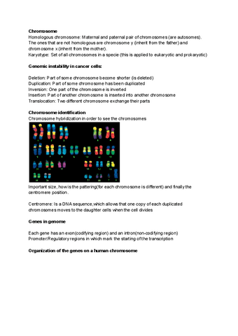 Lecture-2-DNA.pdf