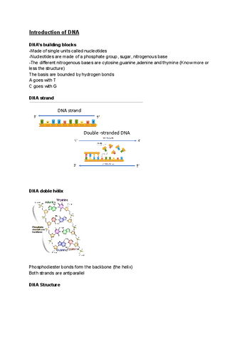 Lecture-1-DNA.pdf