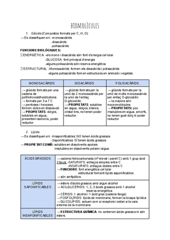 glucids--lipids.pdf