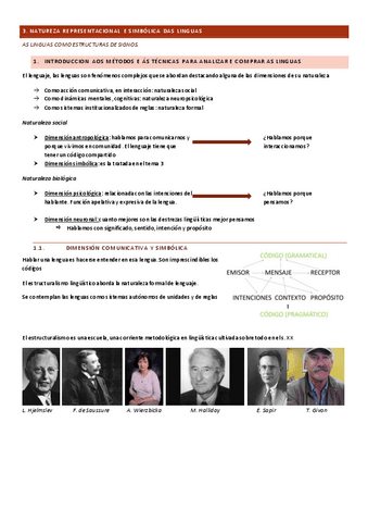 Expositivas - Linguística 1 - Tema 3.pdf
