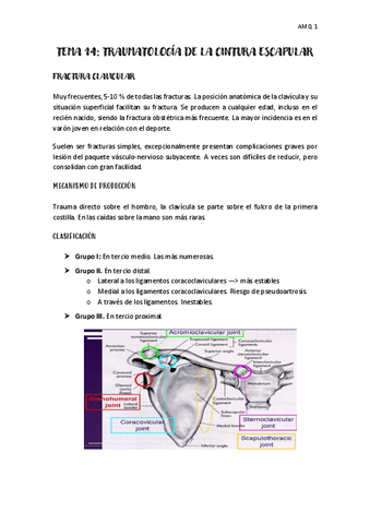 tema-14-afecciones-1.pdf