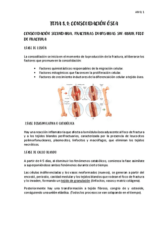 TEMA-8.1-AFECCIONES-I.pdf