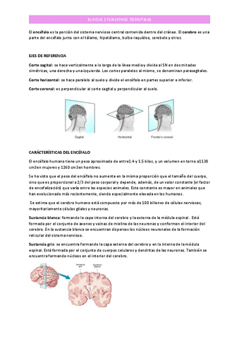 BLOQUE-2.pdf