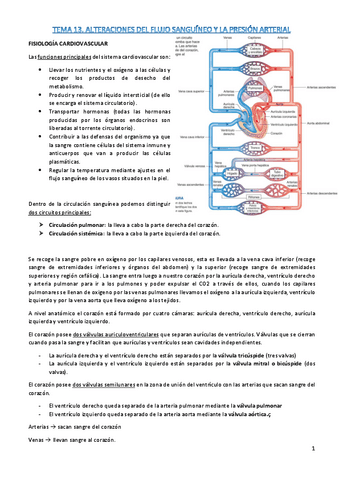 t13-fisiopato.pdf