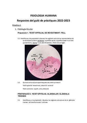 respostes-practiques-fisio.pdf