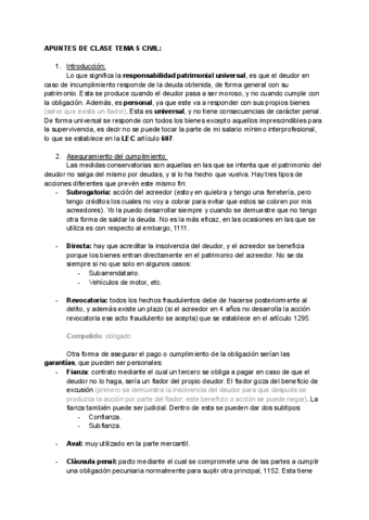 APUNTES-DE-CLASE-TEMA-5-CIVIL.pdf