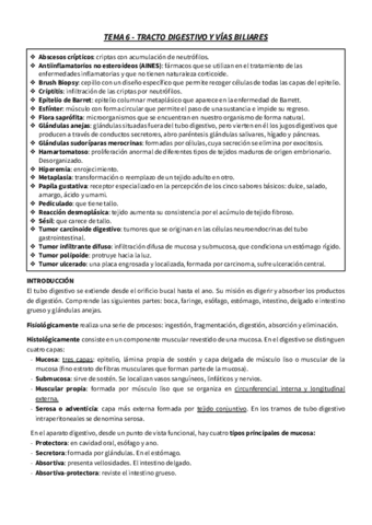 T.6-RESUMEN-CITO-TRACTO-DIGESTIVO-Y-VIAS-BILIARES.pdf
