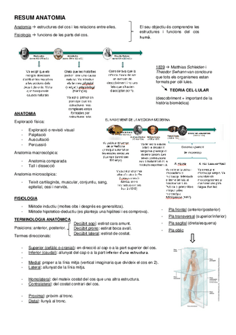 Estructura-i-funcio-Iexamen-1.pdf