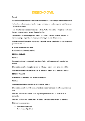 derecho civil tema 1- 14.pdf