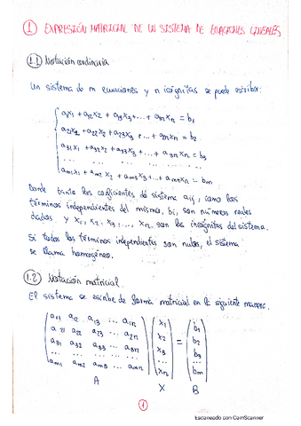 Apuntes-Sistemas-de-Ecuaciones-Lineales.pdf
