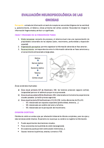 apuntes-t7-eval.neuro.pdf
