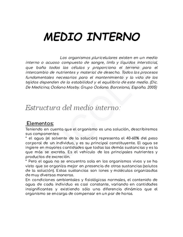 apunte-medio-interno.pdf