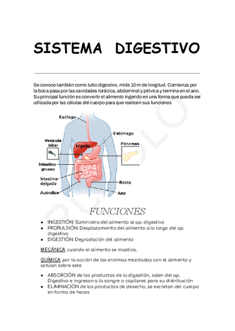 ANATOMIA-SISTEMA-DIGESTIVO.pdf