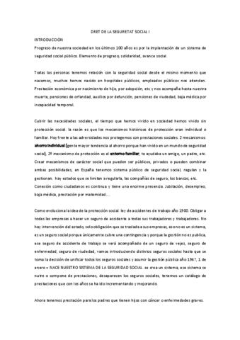 DRET-DE-LA-SEGURETAT-SOCIAL-I.pdf