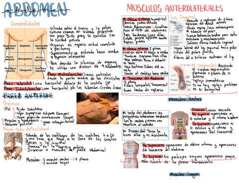 14-Abdomen-Paredes-y-Vasculonervioso.pdf
