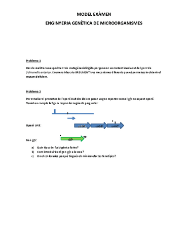 Model-Examen.pdf