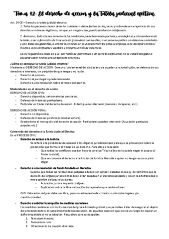 Tema-12-Derecho-Procesal-I.pdf