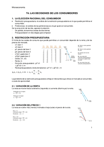 TEMA 4 - Micro.pdf