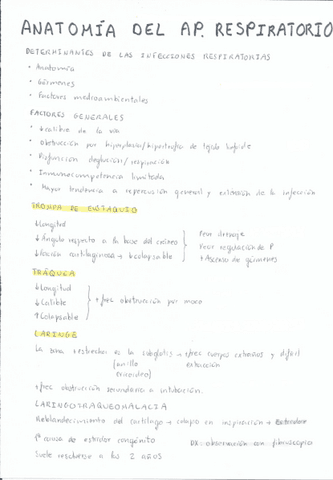 Anatomia-del-ap-respiratorio.pdf