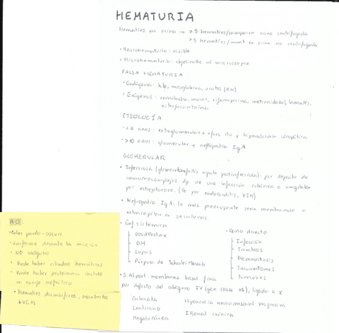 Hematuria-y-proteinuria.pdf