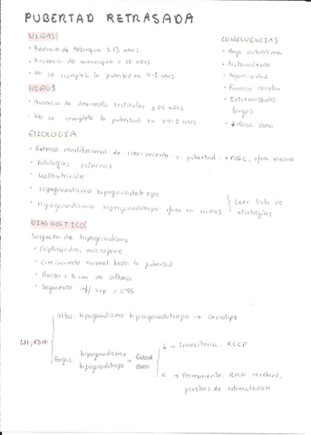 Pubertad-retrasada.pdf