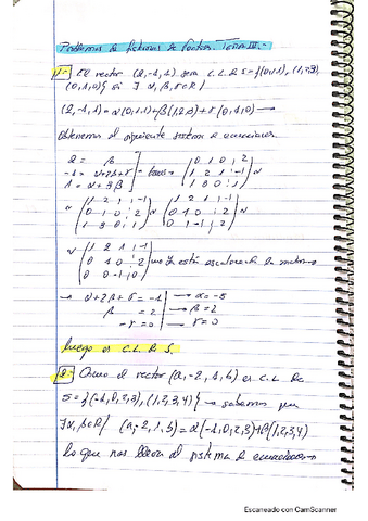 ProblemasSistemasVectores.pdf