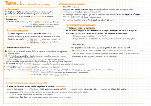 Tema-1-bloque-2.pdf